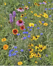 Load image into Gallery viewer, Scatter Garden | Songbird
