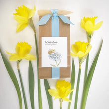 Load image into Gallery viewer, Scatter Garden | Honeybee
