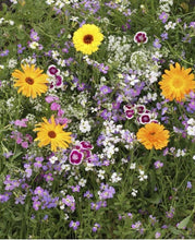 Load image into Gallery viewer, Scatter Garden | Fragrant Flower
